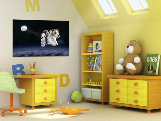 Dog Room Small2a
